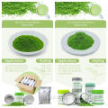 Organic Ceremonial Matcha Powder Milk Tea Organic Matcha Tea Powder Green Tea Supplier